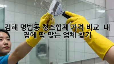 김해 명법동 청소업체 가격 비교 : 내 집에 딱 맞는 업체 찾기