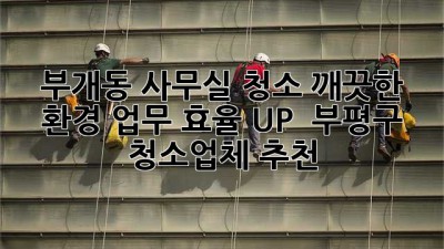 부개동 사무실 청소✨ 깨끗한 환경, 업무 효율 UP! 🏢 부평구 청소업체 추천